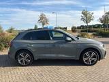 Audi Q5 40 TDI quattro S line|Pano|Luftfahrwerk  - Audi: Luftfahrwerk