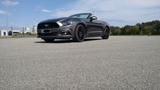 Ford Mustang 2.3 EcoBoost EU model 1A Zustand  - Ford Model a Gebrauchtwagen