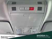 Skoda Kamiq - Vorschau Bild 16