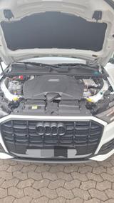 Audi Q7 55 TFSI e quattro tiptronic S line S line - Audi Q7 55 TFSI Gebrauchtwagen