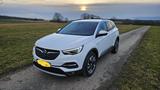 Opel Grandland X Innovation 1.2 Automatik - Opel Nova Benziner Gebrauchtwagen