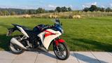 Honda CBR250 - SPORTLER VON 126 BIS 250 CCM