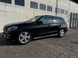 Mercedes-Benz 350 ML Vollausstattung, AHK, Panorama, Abs... - Mercedes-Benz 350 aus 2012