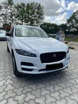 Jaguar F Pace Geländewagen SUV - : Gelände