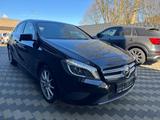 Mercedes-Benz A 250 4Matic Urban Navi Leder Bi-Xenon Memory - Mercedes-Benz A 250: Limousine