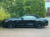 Ford Mustang 5.0 Ti-VCT V8 GT Auto GT - 1.Hd - Ford Mustang Gebrauchtwagen in Frankfurt