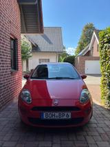 Fiat Punto 1.2 8V STREET STREET - Fiat Punto: Rot