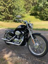 Harley-Davidson Sportster XL 1200 C - HARLEY-DAVIDSON 2004 1200 SPORTSTER