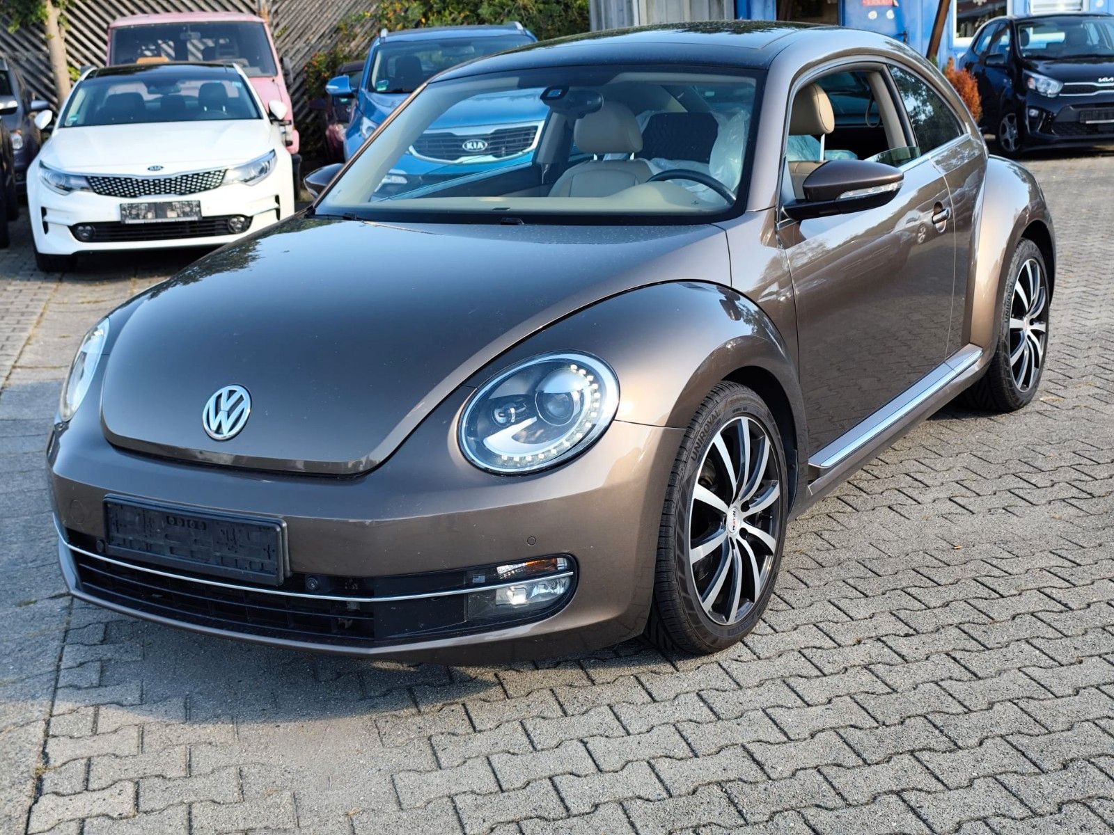 Volkswagen Beetle - 1