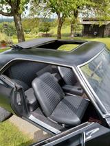 Pontiac Firebird - Pontiac Firebird