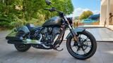 Indian Chief Dark Horse