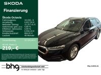 Skoda Octavia - Vorschau Bild 1