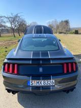 Ford Mustang Shelby GT350 - Ford Mustang: 350gt