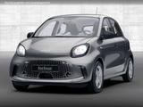 Smart forfour EQ/22kW/PDC hi/SHZ/Advance/+Paket/Tempo/ - Smart ForFour in Frankfurt (Main)
