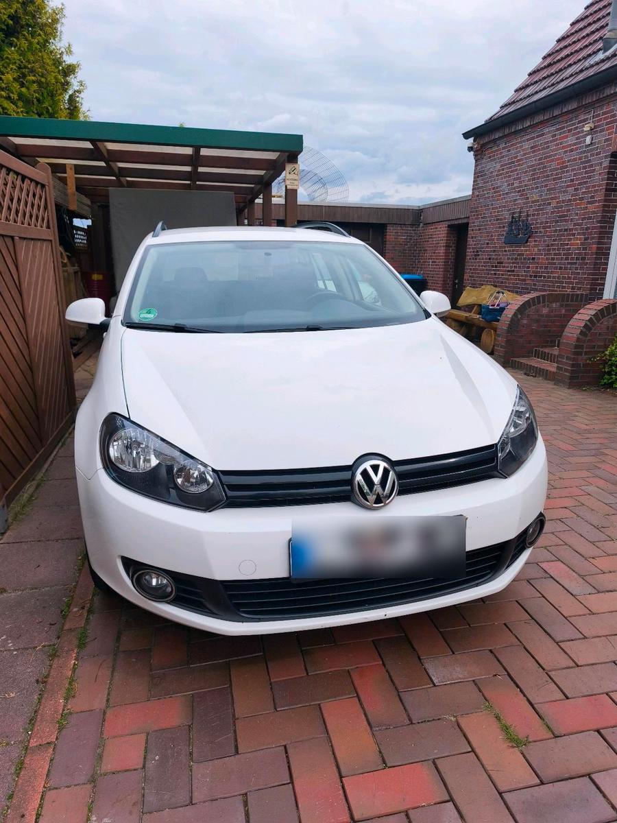 Volkswagen Golf 2010 — rear view