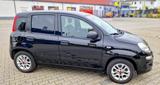 Fiat Panda 1.2  Easy  51 kw - Fiat Panda in Mainz