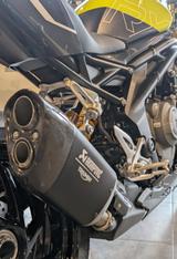 Triumph SPEED TRIPLE 1200 RX Limited Edition - MOTORRAD 1200