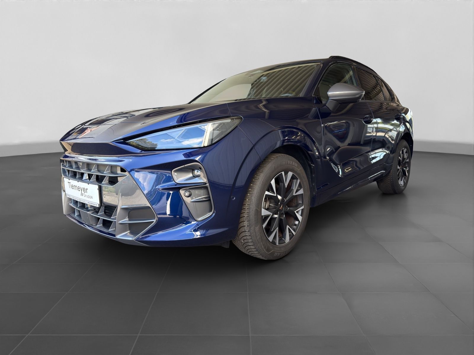 Cupra Terramar - Bild 2