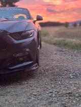 Ford Mustang 5.0 V8Black Shadow Edition - EU Modell - Ford Mustang: Edition