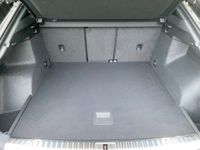 Audi Q3 - Vorschau Bild 14