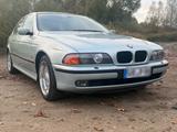 BMW E39 523i, nur 122.000km, 6.000 bei Ab... - BMW 523: 523i E39