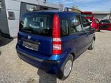 Fiat Panda 1.2 8V Dynamic Automatik/Panoramadach/5 T. - Fiat Panda: Blau