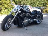 Harley-Davidson VRSCA V-Rod - HARLEY-DAVIDSON VRSCA