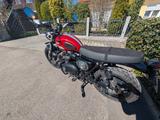 Triumph Street Scrambler / V&H / Fox / Topzustand  - TRIUMPH SCRAMBLER