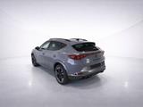 Cupra Formentor 2.0 TDI 4Drive DSG Kamera/ACC/SHZ/Pano - Cupra Gebrauchtwagen in Bonn