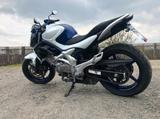 Suzuki SFV 650 Gladius - Offers matching your search criteria