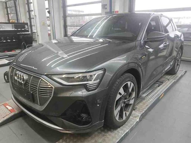 Audi E-TRON 50 Q 2x S LINE/20Z./AIR-SUS/DAB/ACC/360°