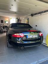 Jaguar XK 4.2L V8 Cabriolet - top gepflegt  - Jaguar XK: 4.2
