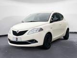 Lancia LANCIA Ypsilon 1.2 8v Gold 69cv - Lancia Ypsilon aus 2013