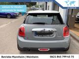 MINI Cooper Mini Cooper 1.5 Automatik LED Pano Sitzhz - MINI Cooper in Mannheim