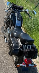 Suzuki 1500LC  - Angebote