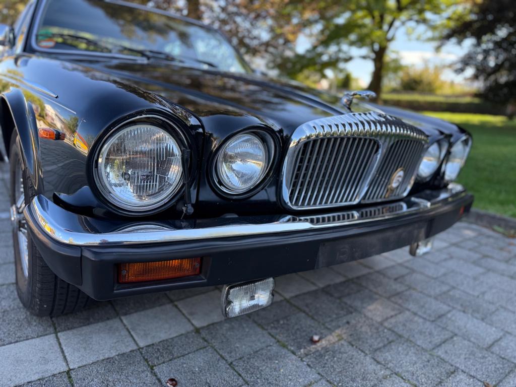 Jaguar XJ12