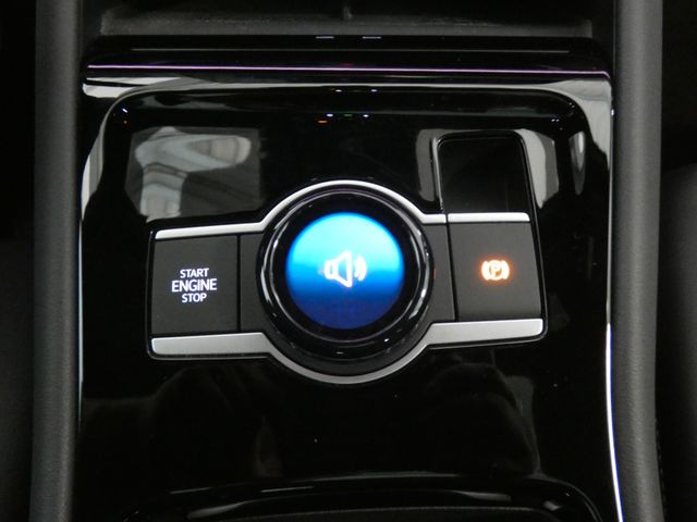 Tiguan 2.0 TDI R-Line AHK PANO 360° STHZ