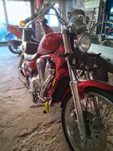 Suzuki VS 800 intruder. FESTPREIS, FESTPREIS, FESTPREIS - SUZUKI VS800