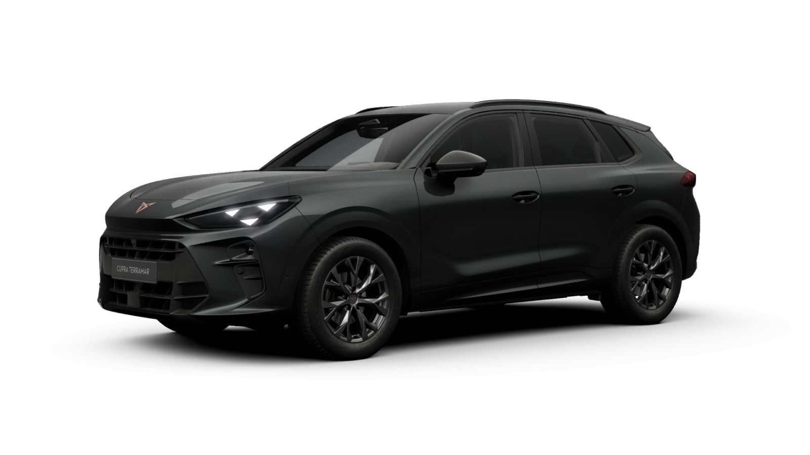 Cupra Terramar - Bild 2