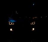 BMW E60 525i - BMW 525: E60 525i