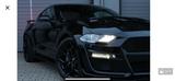Ford Mustang 5.0 Ti-VCT V8 466PS Shelby - gebrauchte Ford Mustang aus dem Jahr 2023