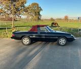 Alfa Romeo 1600 Spider - Alfa Romeo Spider 1600 Gebrauchtwagen