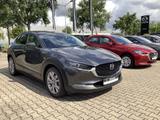 Mazda CX-30 G 150 Selection Premium Matrix-LED Bose 36 - Mazda Gebrauchtwagen in Erfurt