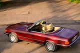 Mercedes-Benz SL 280 - Mercedes-Benz SL 280 aus 1980
