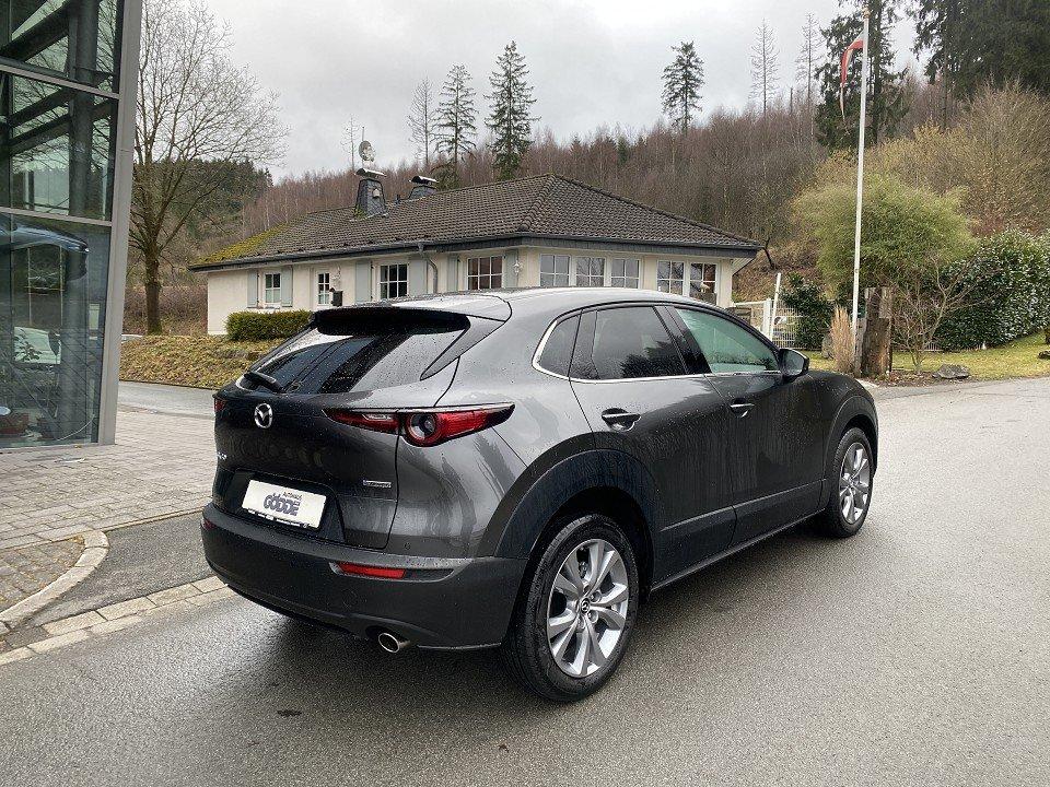 Mazda CX-30 150 PS SELECTION Design-Paket *Garantie*