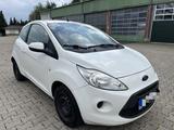 Ford Ka/Ka+ 1,2 Trend Trend - Ford Ka/Ka+ in Kassel