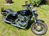 Harley-Davidson Sportster Custom 1200 - HARLEY-DAVIDSON 2011 SPORTSTER 1200 CUSTOM
