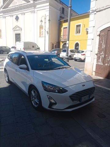 Ford Focus 1.5 EcoBlue 120 CV automatico SW Busi