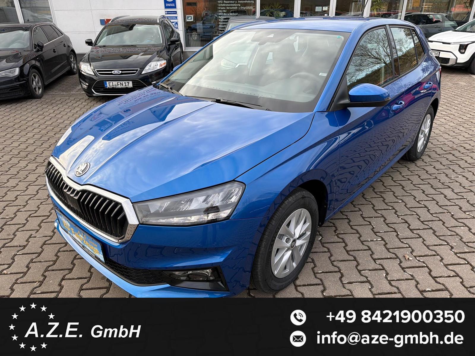 Skoda Fabia 1.0 MPI 130 Jahre *PDC*GRA*SH*KAMERA*AP...