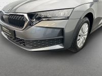 Skoda Octavia - Vorschau Bild 14